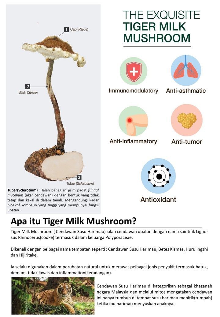 Colostrum Plus